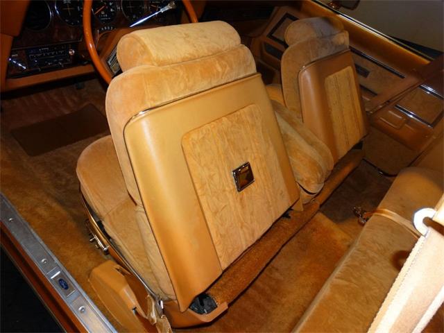 1977 Ford Thunderbird (CC-1085417) for sale in Memphis, Indiana