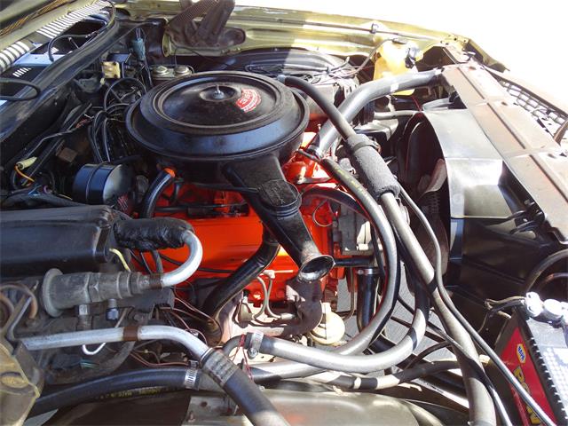 1970 Chevrolet Malibu (CC-1085585) for sale in Houston, Texas