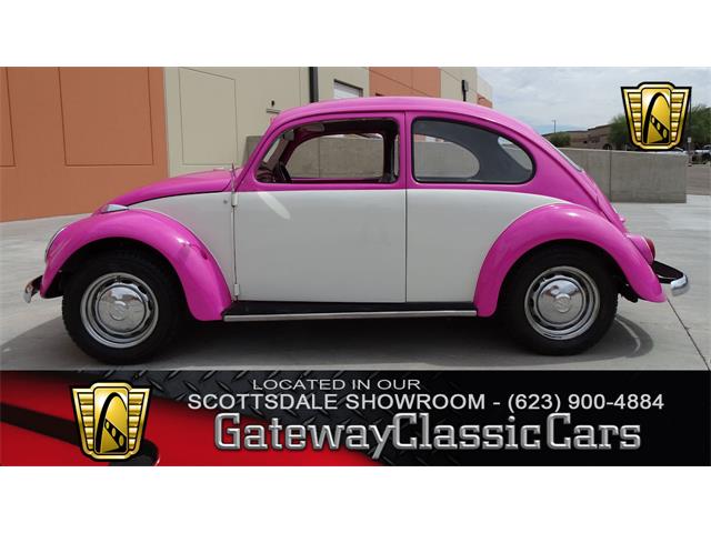 1966 Volkswagen Beetle (CC-1085939) for sale in Deer Valley, Arizona