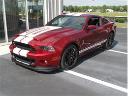 2014 Ford Mustang (CC-1087147) for sale in Ocala, Florida
