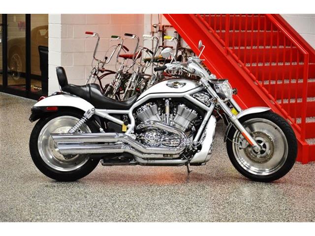 2003 harley store davidson vrsca