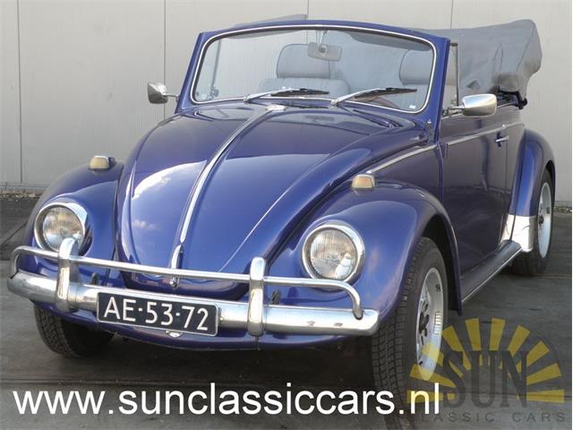 1970 Volkswagen Beetle (CC-1087282) for sale in Waalwijk, Noord-Brabant