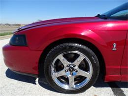 2004 Ford Mustang (CC-1087433) for sale in Crete, Illinois