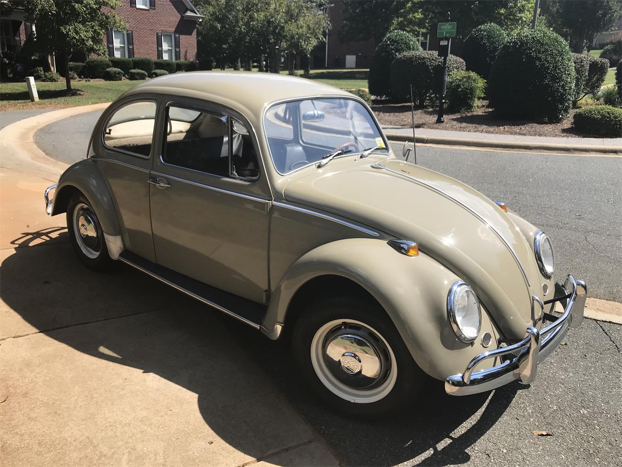 1966 Volkswagen Beetle for Sale | ClassicCars.com | CC-1087684