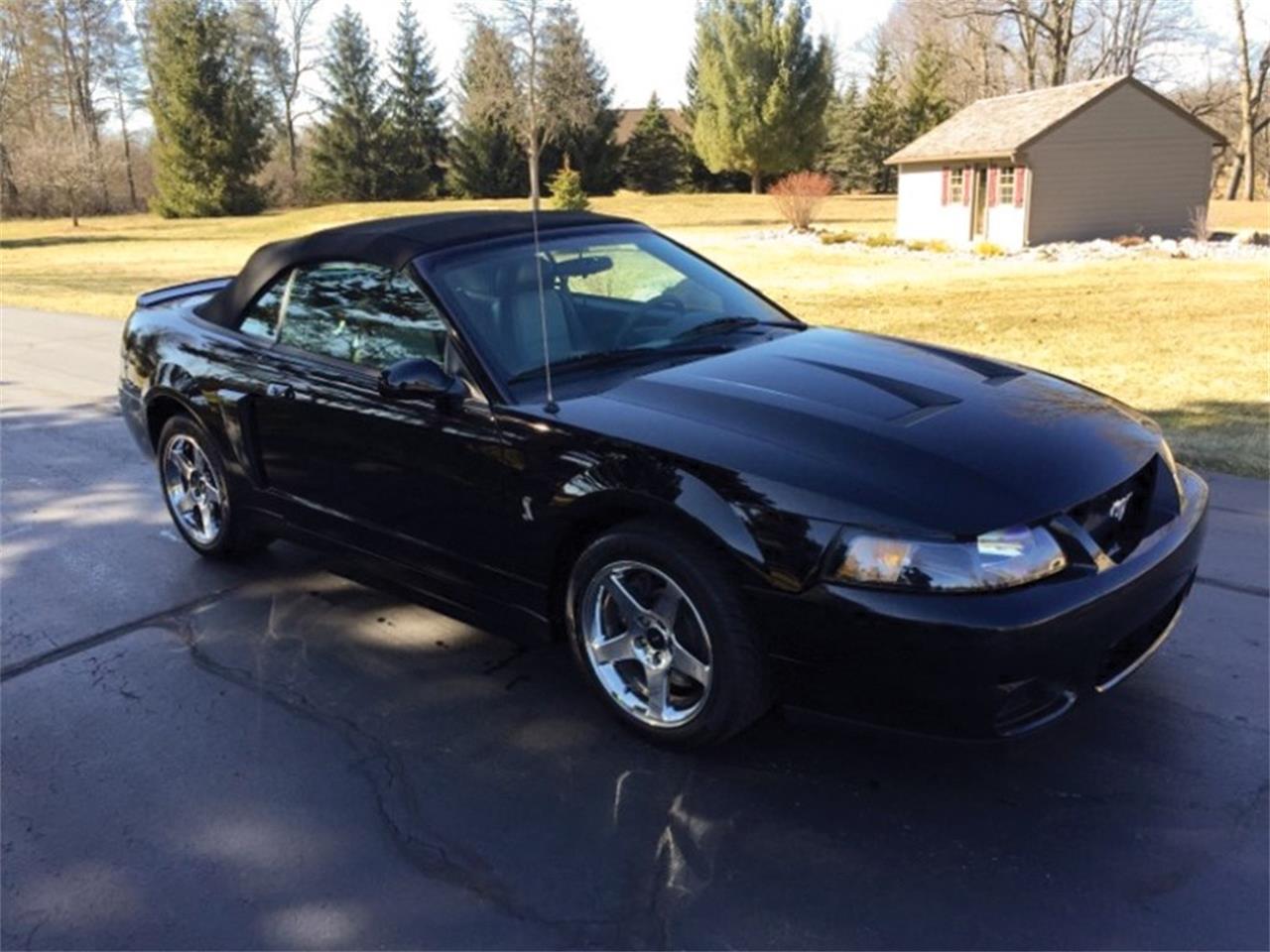 2003 Ford Svt Mustang Cobra Convertible For Sale Cc 1088244 5527