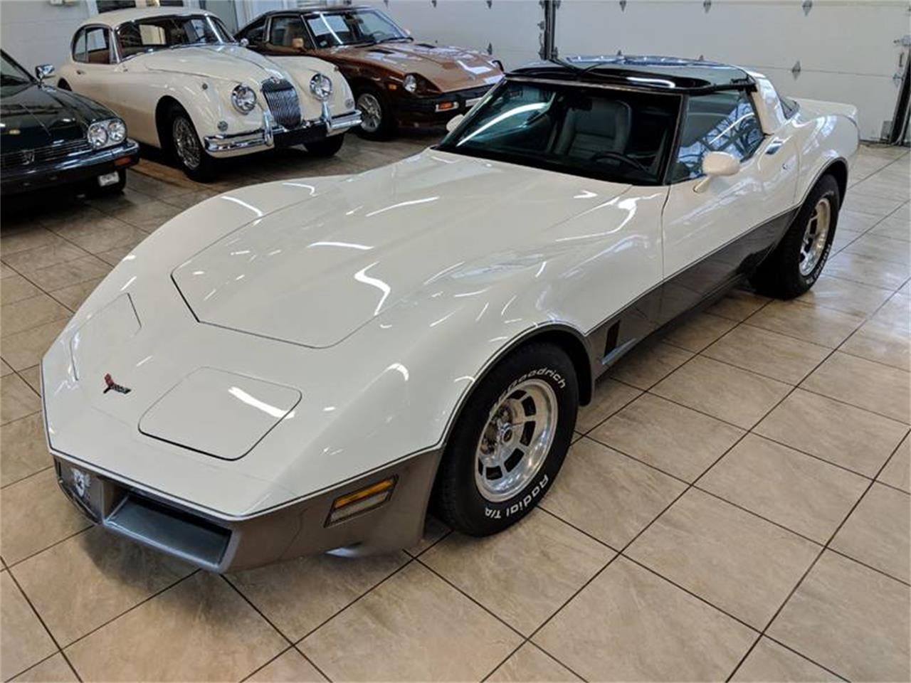 1981 Chevrolet Corvette for Sale | ClassicCars.com | CC-1089740