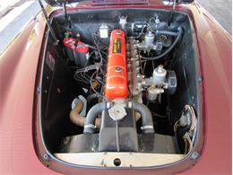 1953 Nash-Healey LeMans (CC-1080989) for sale in Sarasota, Florida