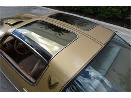 1978 Pontiac Firebird Trans Am (CC-1091136) for sale in Orlando, Florida