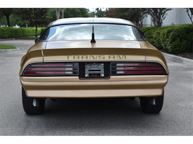 1978 Pontiac Firebird Trans Am (CC-1091136) for sale in Orlando, Florida