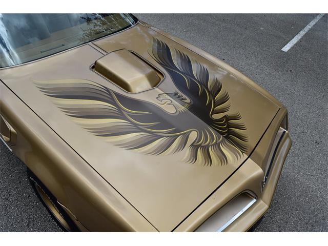 1978 Pontiac Firebird Trans Am (CC-1091136) for sale in Orlando, Florida