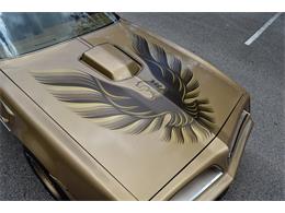 1978 Pontiac Firebird Trans Am (CC-1091136) for sale in Orlando, Florida