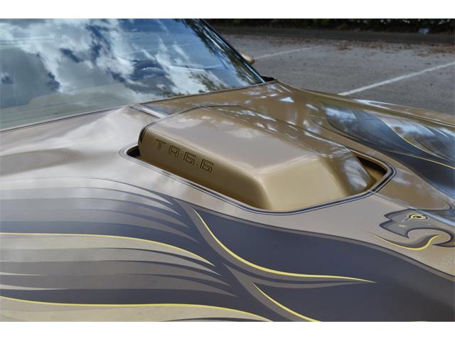 1978 Pontiac Firebird Trans Am (CC-1091136) for sale in Orlando, Florida