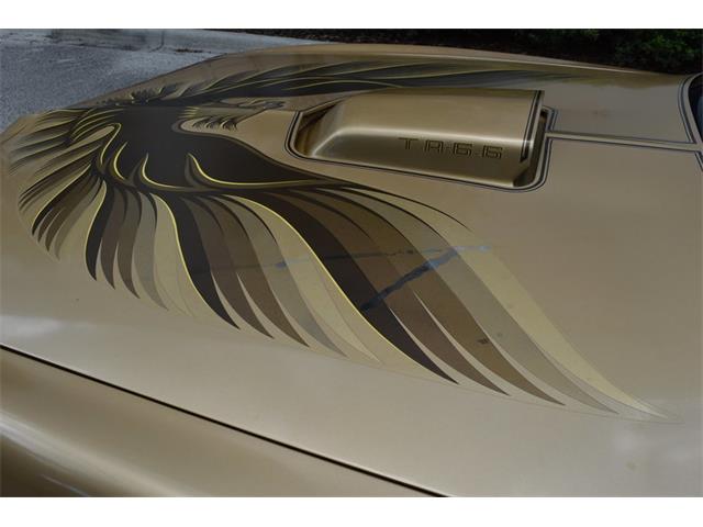 1978 Pontiac Firebird Trans Am (CC-1091136) for sale in Orlando, Florida