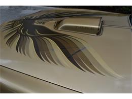 1978 Pontiac Firebird Trans Am (CC-1091136) for sale in Orlando, Florida