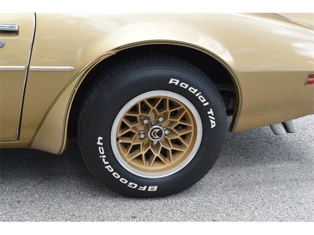1978 Pontiac Firebird Trans Am (CC-1091136) for sale in Orlando, Florida