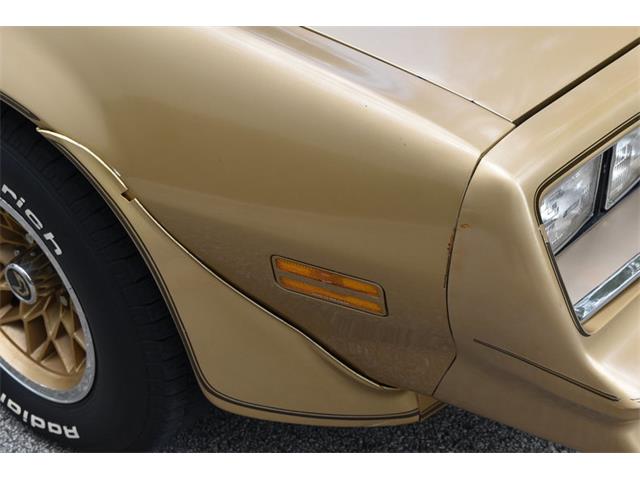 1978 Pontiac Firebird Trans Am (CC-1091136) for sale in Orlando, Florida
