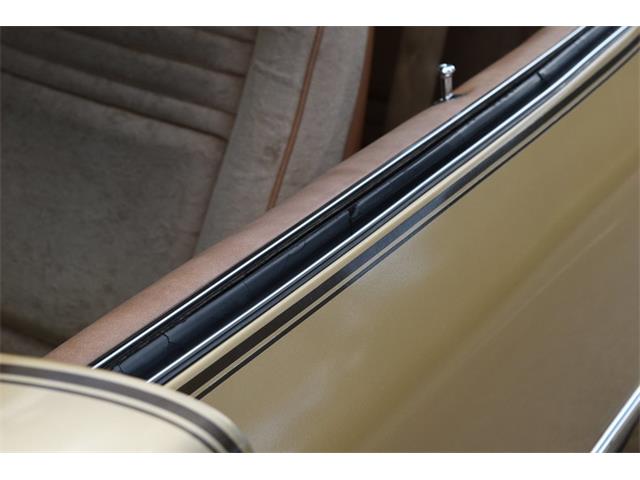 1978 Pontiac Firebird Trans Am (CC-1091136) for sale in Orlando, Florida