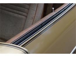 1978 Pontiac Firebird Trans Am (CC-1091136) for sale in Orlando, Florida