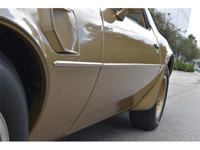 1978 Pontiac Firebird Trans Am (CC-1091136) for sale in Orlando, Florida