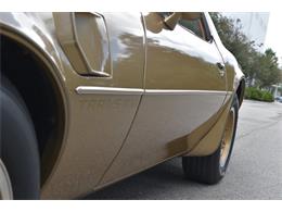 1978 Pontiac Firebird Trans Am (CC-1091136) for sale in Orlando, Florida