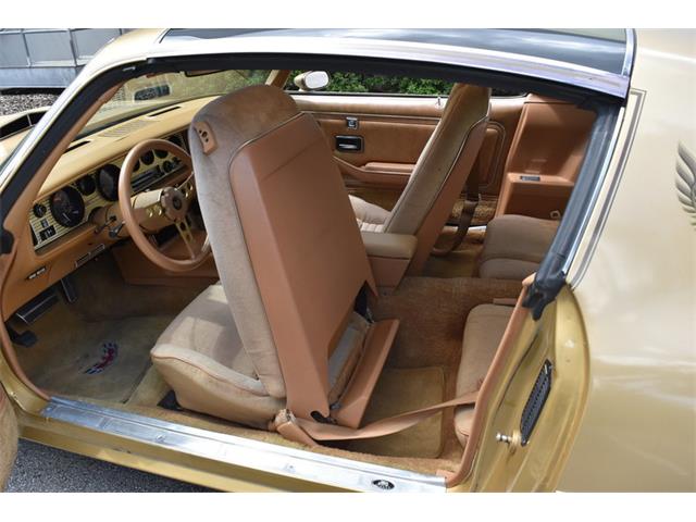 1978 Pontiac Firebird Trans Am (CC-1091136) for sale in Orlando, Florida