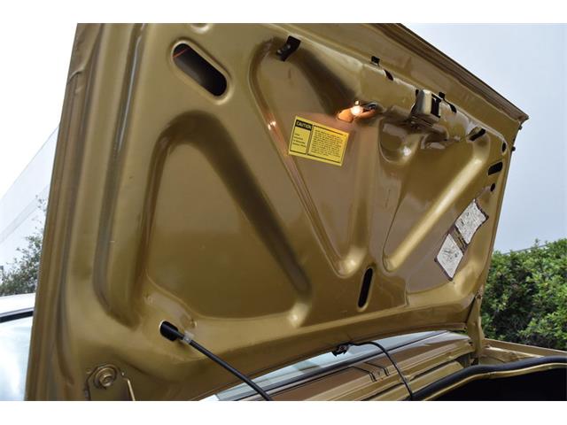 1978 Pontiac Firebird Trans Am (CC-1091136) for sale in Orlando, Florida