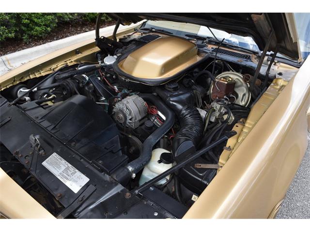 1978 Pontiac Firebird Trans Am (CC-1091136) for sale in Orlando, Florida