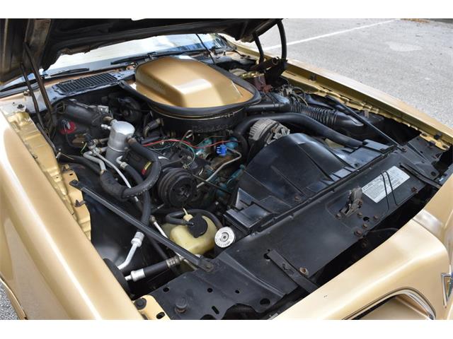 1978 Pontiac Firebird Trans Am (CC-1091136) for sale in Orlando, Florida