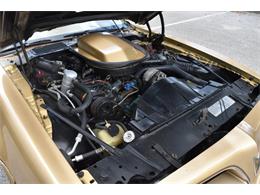 1978 Pontiac Firebird Trans Am (CC-1091136) for sale in Orlando, Florida