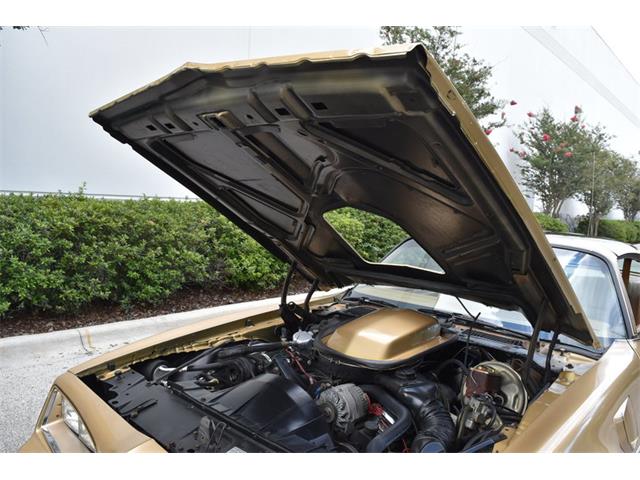 1978 Pontiac Firebird Trans Am (CC-1091136) for sale in Orlando, Florida