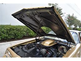 1978 Pontiac Firebird Trans Am (CC-1091136) for sale in Orlando, Florida