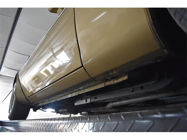 1978 Pontiac Firebird Trans Am (CC-1091136) for sale in Orlando, Florida