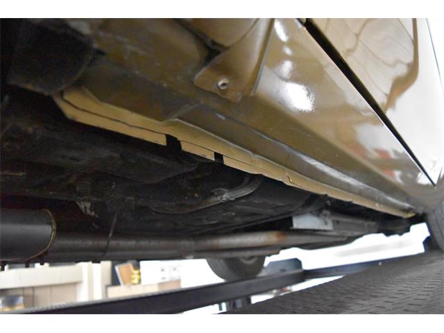 1978 Pontiac Firebird Trans Am (CC-1091136) for sale in Orlando, Florida