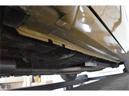 1978 Pontiac Firebird Trans Am (CC-1091136) for sale in Orlando, Florida