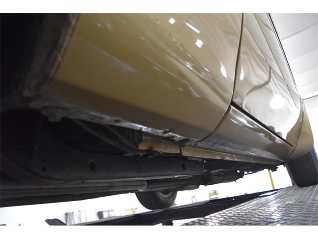 1978 Pontiac Firebird Trans Am (CC-1091136) for sale in Orlando, Florida