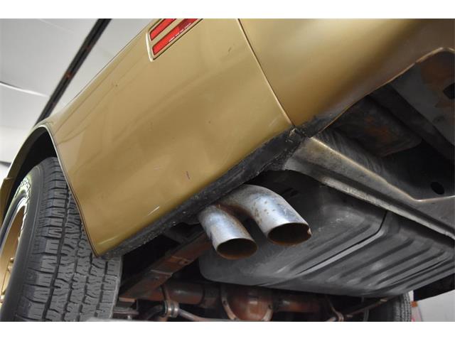 1978 Pontiac Firebird Trans Am (CC-1091136) for sale in Orlando, Florida