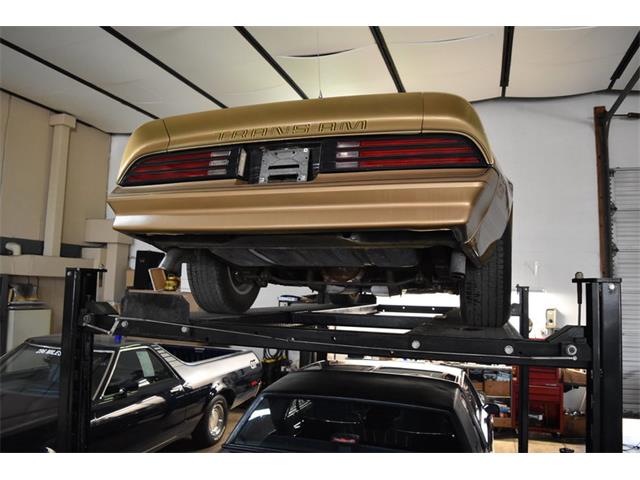 1978 Pontiac Firebird Trans Am (CC-1091136) for sale in Orlando, Florida