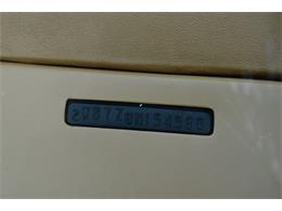 1978 Pontiac Firebird Trans Am (CC-1091136) for sale in Orlando, Florida