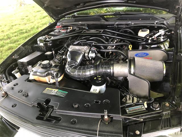 2006 Ford Shelby GT500  (CC-1091336) for sale in Columbia , Kentucky