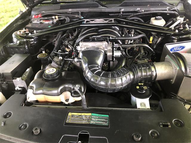 2006 Ford Shelby GT500  (CC-1091336) for sale in Columbia , Kentucky