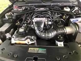 2006 Ford Shelby GT500  (CC-1091336) for sale in Columbia , Kentucky
