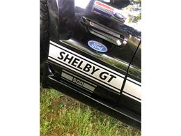 2006 Ford Shelby GT500  (CC-1091336) for sale in Columbia , Kentucky