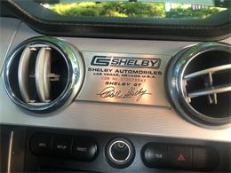 2006 Ford Shelby GT500  (CC-1091336) for sale in Columbia , Kentucky