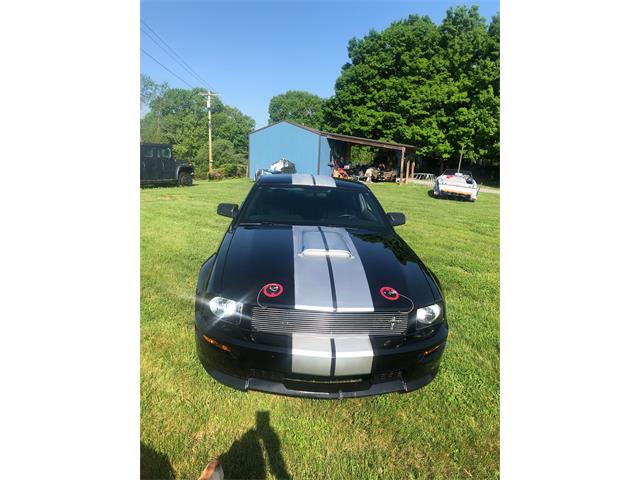 2006 Ford Shelby GT500  (CC-1091336) for sale in Columbia , Kentucky