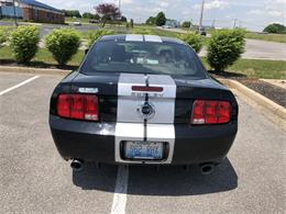2006 Ford Shelby GT500  (CC-1091336) for sale in Columbia , Kentucky