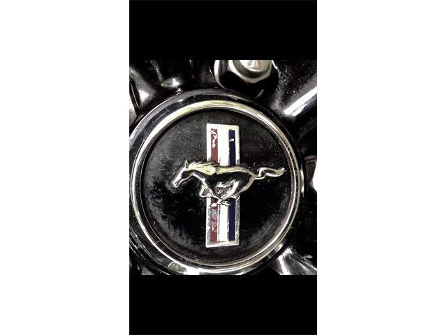2006 Ford Shelby GT500  (CC-1091336) for sale in Columbia , Kentucky