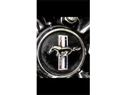 2006 Ford Shelby GT500  (CC-1091336) for sale in Columbia , Kentucky