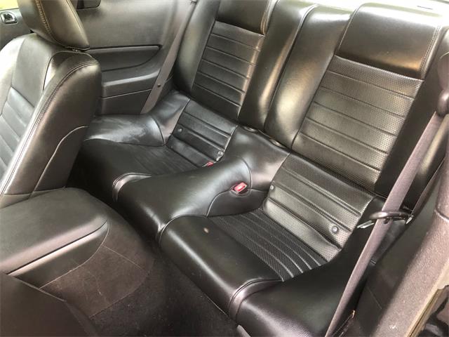 2006 Ford Shelby GT500  (CC-1091336) for sale in Columbia , Kentucky