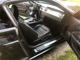 2006 Ford Shelby GT500  (CC-1091336) for sale in Columbia , Kentucky