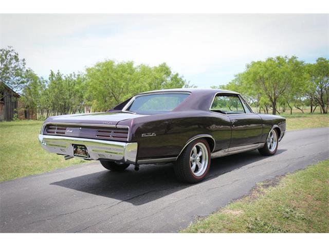 1967 Pontiac GTO (CC-1091448) for sale in Fredericksburg, Texas